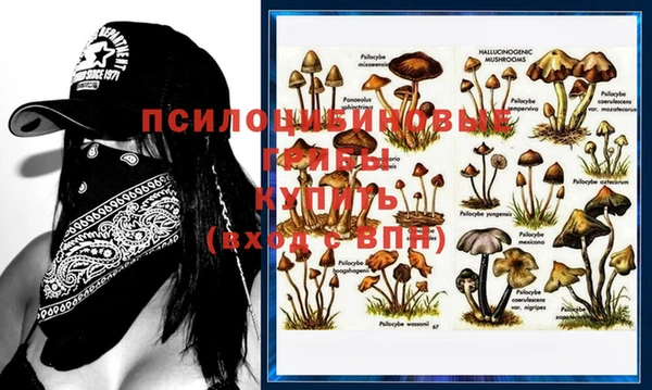 стафф Дедовск